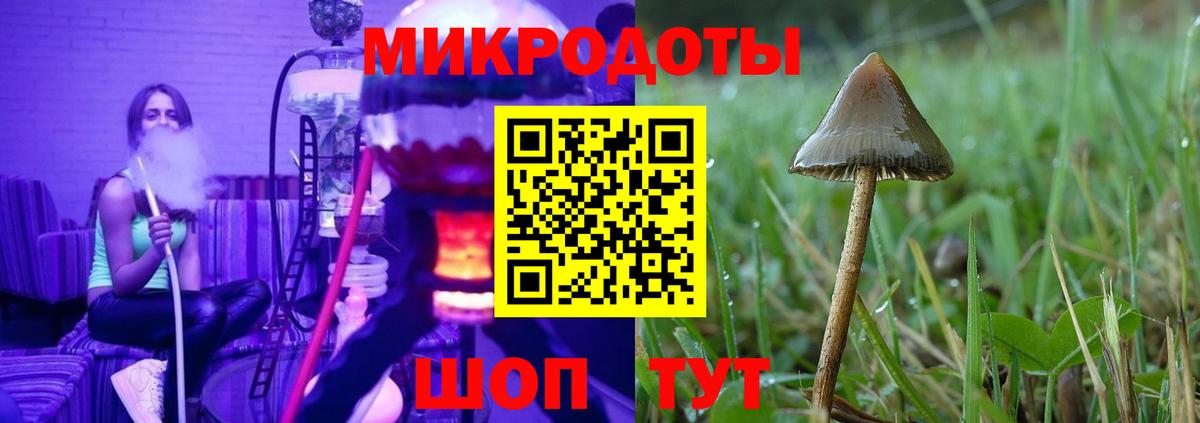Галлюциногенные грибы Psilocybine cubensis  Вход с VPN  Псилоцибиновые грибы Psilocybe  Сарапул 